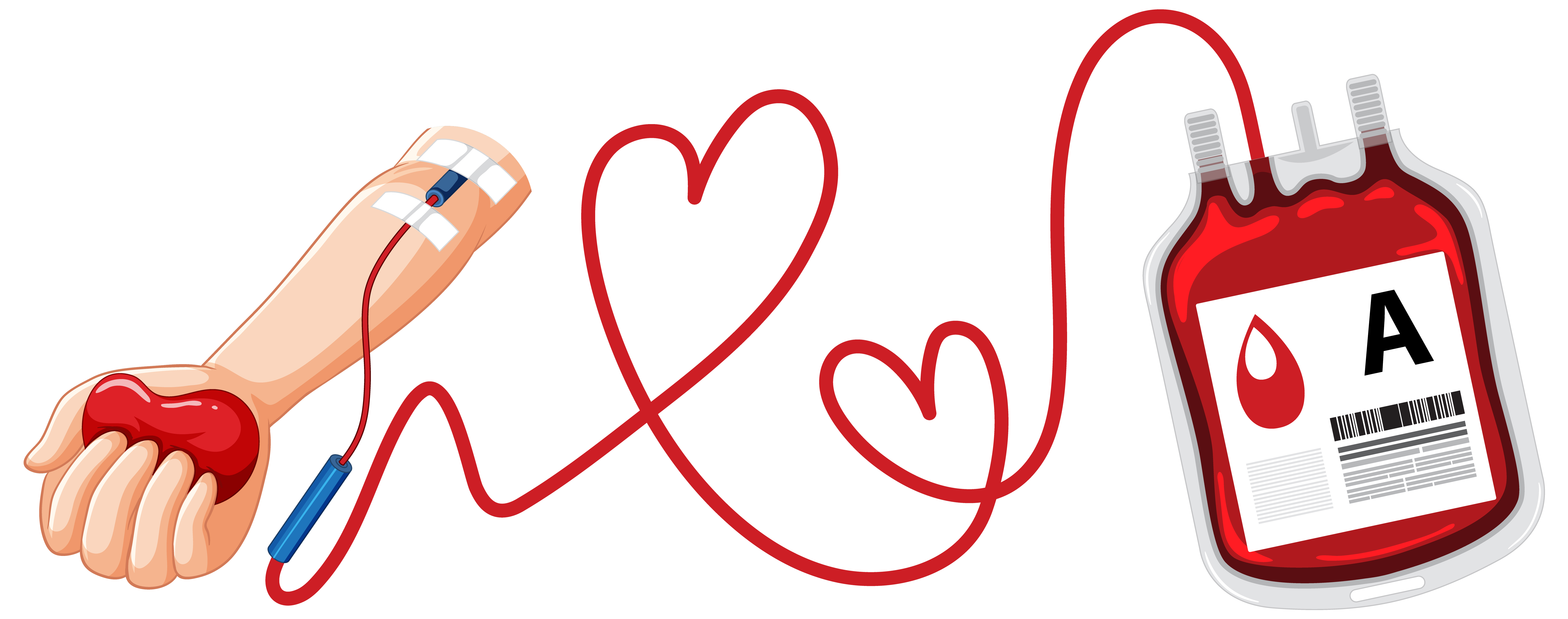 Blood Donation Facts